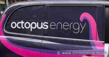 Octopus Energy to support pensioners who've lost Winter Fuel Payment with new £200 offer