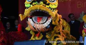 Chinese New Year 2025 horoscopes for the Year of the Snake including Rat, Ox, Tiger and more