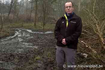 Hobokense polder krijgt meer water dankzij pomp van Natuurpunt