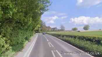 Two people dead and two rushed to hospital after car crash in Somerset