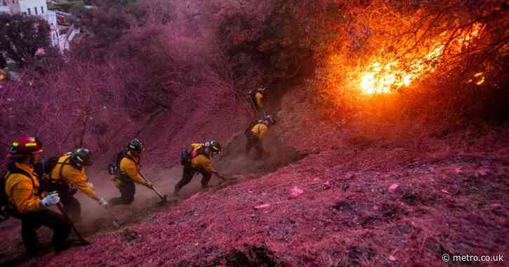 LA fires death toll reaches 24 as strong winds forecast to return