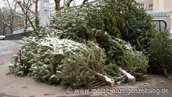 Wie lange darf der Weihnachtsbaum stehen bleiben?