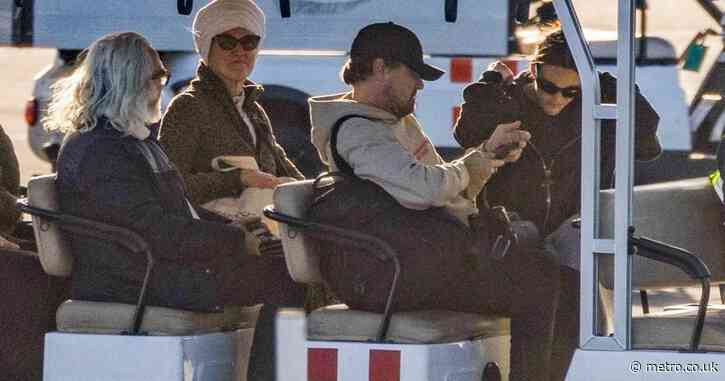 Leonardo DiCaprio lands in Mexico on private jet avoiding Los Angeles wildfires