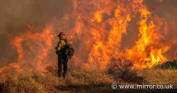 LA wildfires: New theory suggests New Year's Eve revellers to blame for apocalyptic blaze