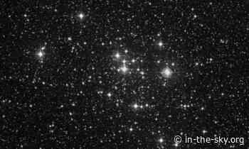 14 Jan 2025 (Tomorrow): The cluster Messier 47 is well placed