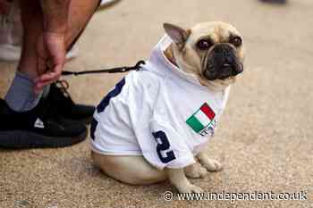 Museums in Italy offer free dog-sitting to encourage visitors