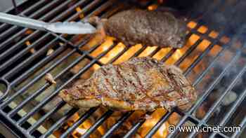 Best Gas Grills of 2025