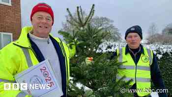 What does a hospice do with Christmas trees?