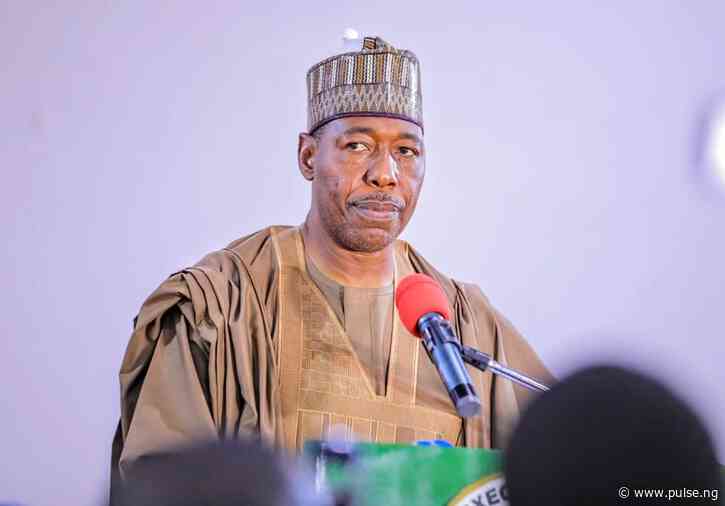 Gov Zulum demands military action after terrorists kill 40 farmers in Borno