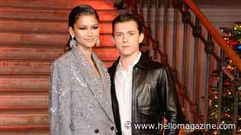 Tom Holland and Zendaya's DIY makeover at $4m LA ranch