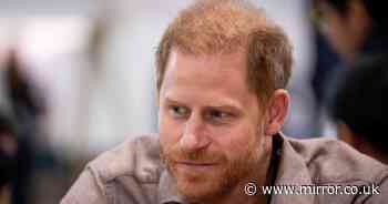 Prince Harry to 'protest' against Royal Family on UK visit by 'rejecting offer'