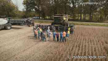 Local farmers drop everything to harvest fallen neighbor's final crop