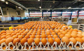 Vital Farms to Install Additional Egg Grading System a Missouri Facility