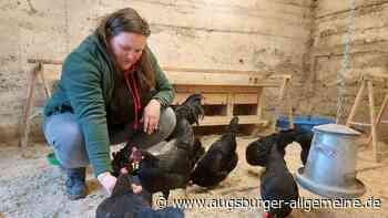 Antje Goschütz züchtet das vom Aussterben bedrohte Augsburger Huhn