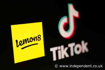 What is Lemon8? The TikTok alternative gaining popularity that may also face a ban