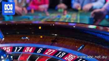 Odds of collapse for casino operator Star are shortening