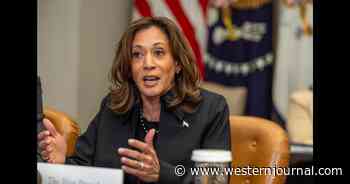 Kamala Donors Furious After Looking at Credit Cards in January 2025