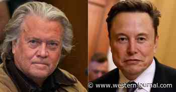 Steve Bannon Says He Will Push 'Truly Evil' Elon Musk Out of Trump's Inner Circle by Inauguration Day