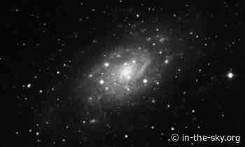 14 Jan 2025 (Tomorrow): NGC 2403 is well placed