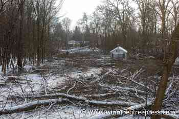 City staff exploring acquisition, rezoning of Lemay Forest for new park