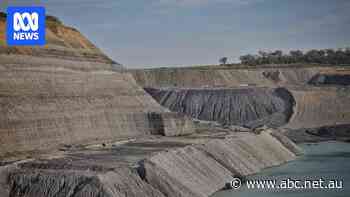 Farmers end decade-long legal battle against Qld coal mine expansion