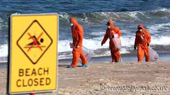 Manly, Dee Why beaches are closed after grey balls wash up