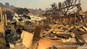 Devastated developer's $40m Malibu mansion destroyed by LA fires just as he finished building it