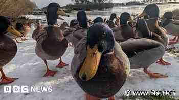 Your pictures of Scotland: 3 - 10 January