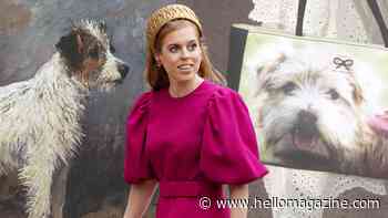 Princess Beatrice's dog print handbag was her wildest fashion moment yet