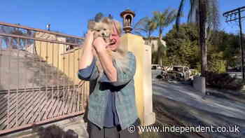 Moment dog owner breaks down in tears after finding pet that went missing for five days in LA wildfires