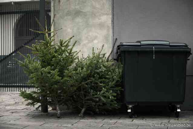 Jaarlijkse kerstboomophaling op vrijdag 17 januari