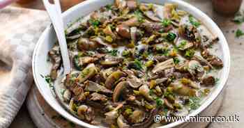 Jamie Oliver's mushroom stroganoff recipe takes just 20 minutes to make