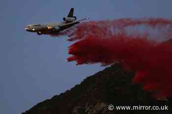 LA fires: All you need to know on pink powder being used in battle that's now everywhere