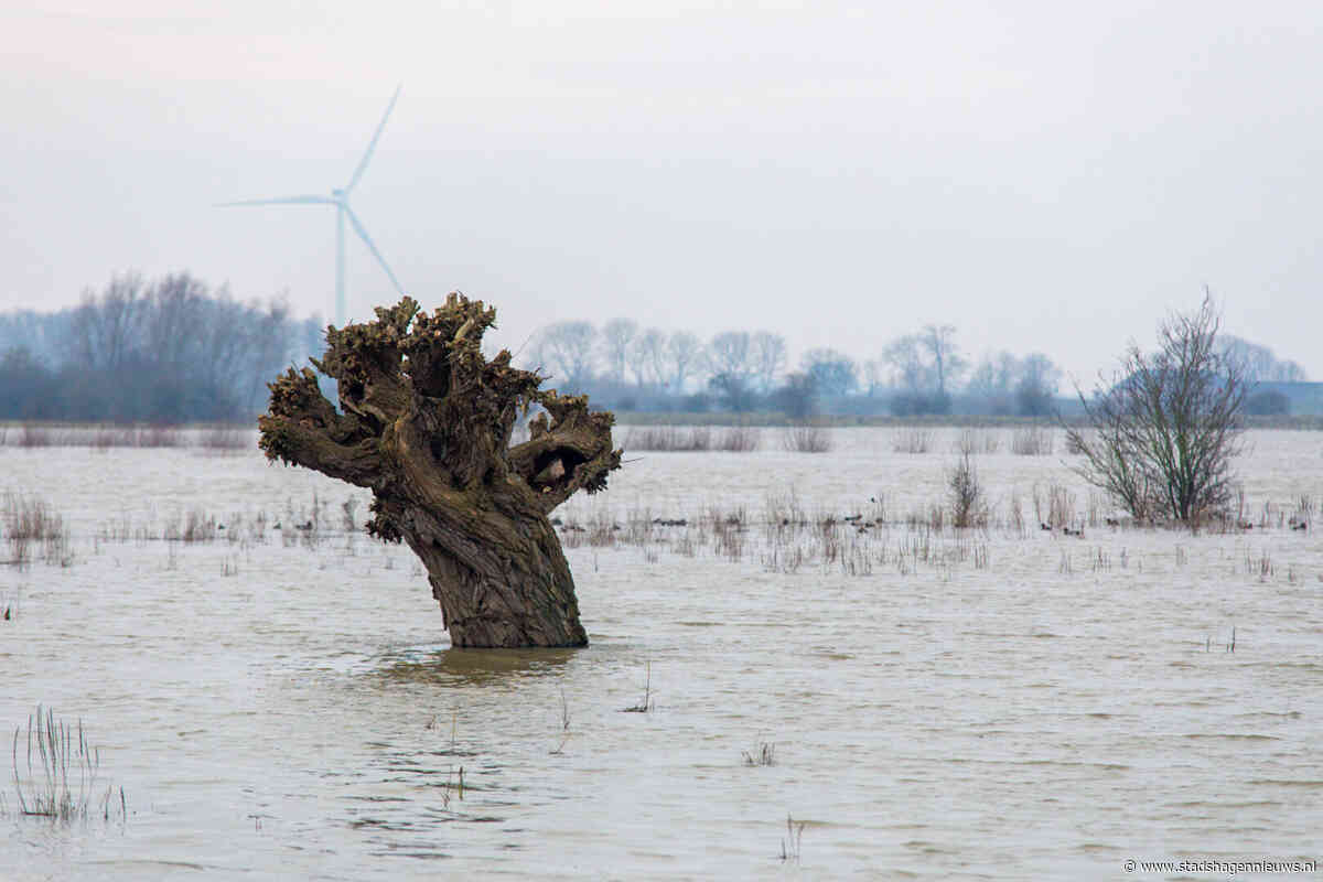 Uiterwaarden IJssel lopen vol door hoogwatergolf