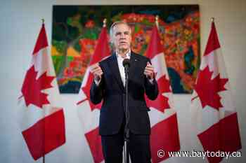 Liberals prefer Mark Carney over Chrystia Freeland as next leader, poll suggests