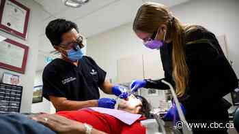 With clock ticking, future of Liberals' dental and pharmacare programs uncertain