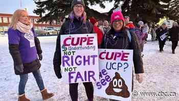 Edmonton mom talks about the impact of the school strike