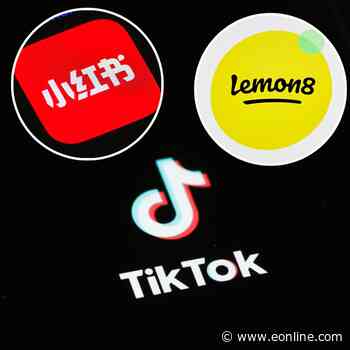 TikTok Getting Banned? A Guide to Similar Apps RedNote & Lemon8