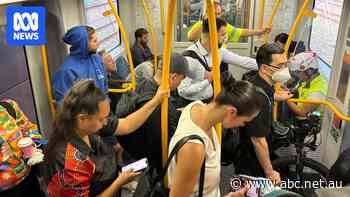 Sydney train commuters tell of 'nightmare' as peak hour reduced to a crawl