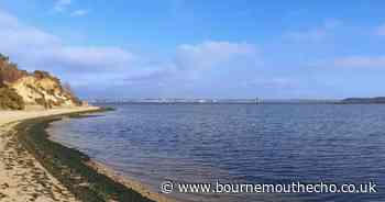 Popular BBC show to broadcast live from Poole Harbour