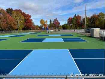 North Bay pickleball players want new courts locked up overnight