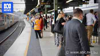 Union 'squeezing life out of rail network' with Sydney train delays