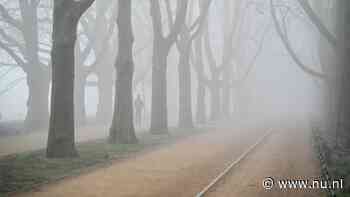 Weerbericht | Mist en motregen geven een herfstsfeer aan deze winterdag