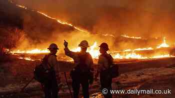 LA fire department failed to deploy 1,000 fighters and dozens of engines in advance of devastating blaze