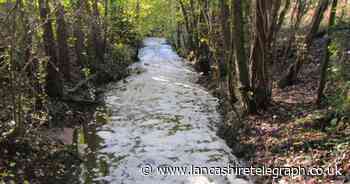 Lancashire dairy farm fined for polluting watercourse twice