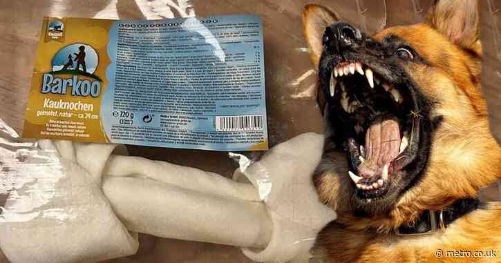 Urgent warning over dog toy that can cause ‘werewolf syndrome’