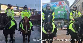 Police horses aid in arrest of wanted 'high-risk domestic violence offender'