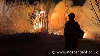 LA fires latest: Residents warned to ‘stay on guard’ amid wind gusts as LAPD bust arson and looting suspects