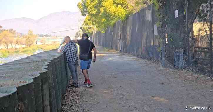 Man ‘in trance stopped from igniting dead leaves in LA’ days after deadly wildfires