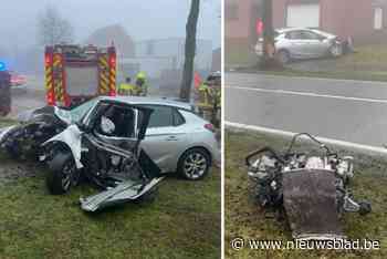 Bestuurder in levensgevaar na zware klap tegen boom in dichte mist: motor van wagen belandt aan overzijde van de weg